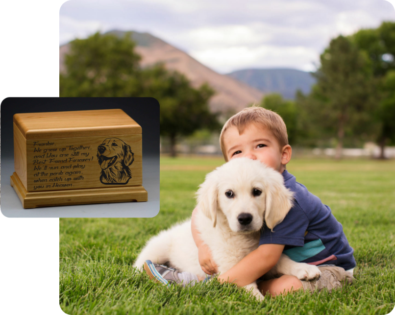Child hugging puppy on grass, memory box inset.