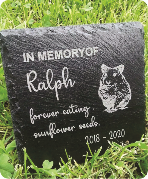 Memorial stone for hamster Ralph, 2018-2020.