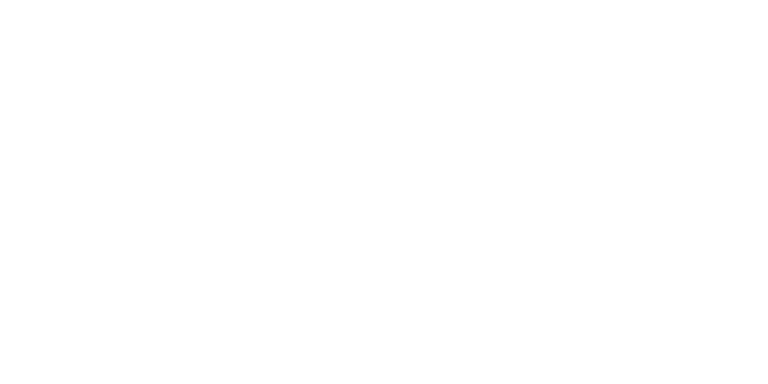 Memories Etched in Stone with feather design